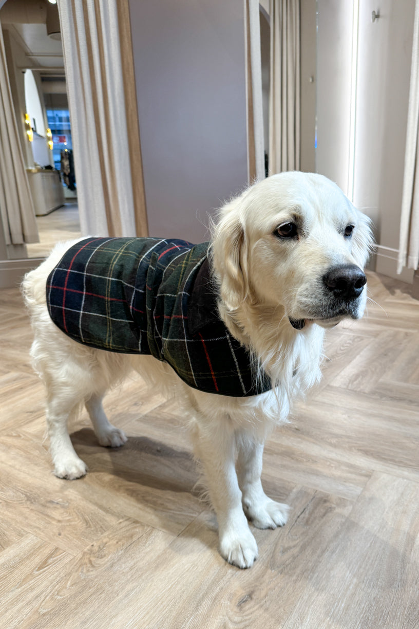 Wool Dog Coat Classic Tartan
