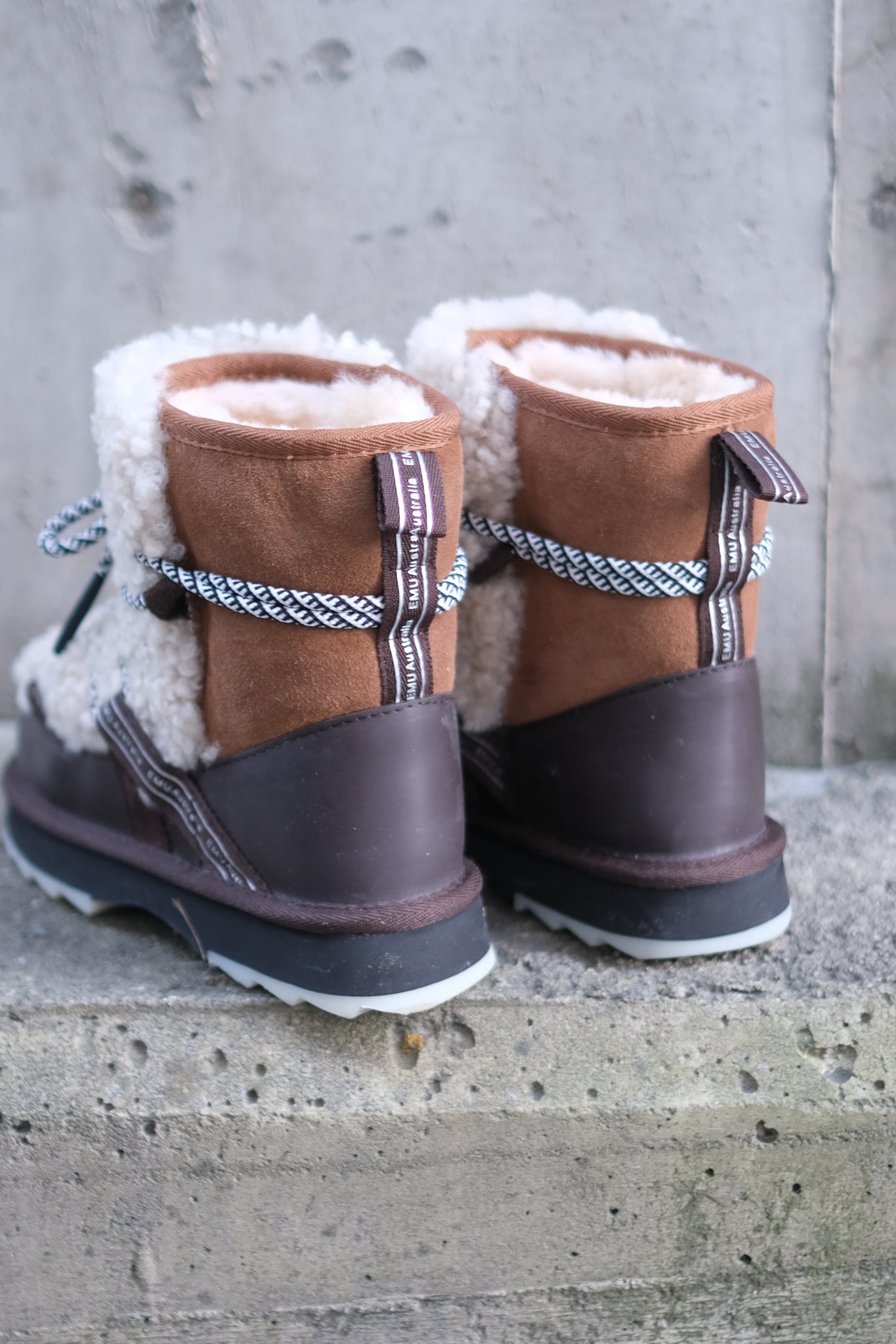 Blurred Teddy Chestnut