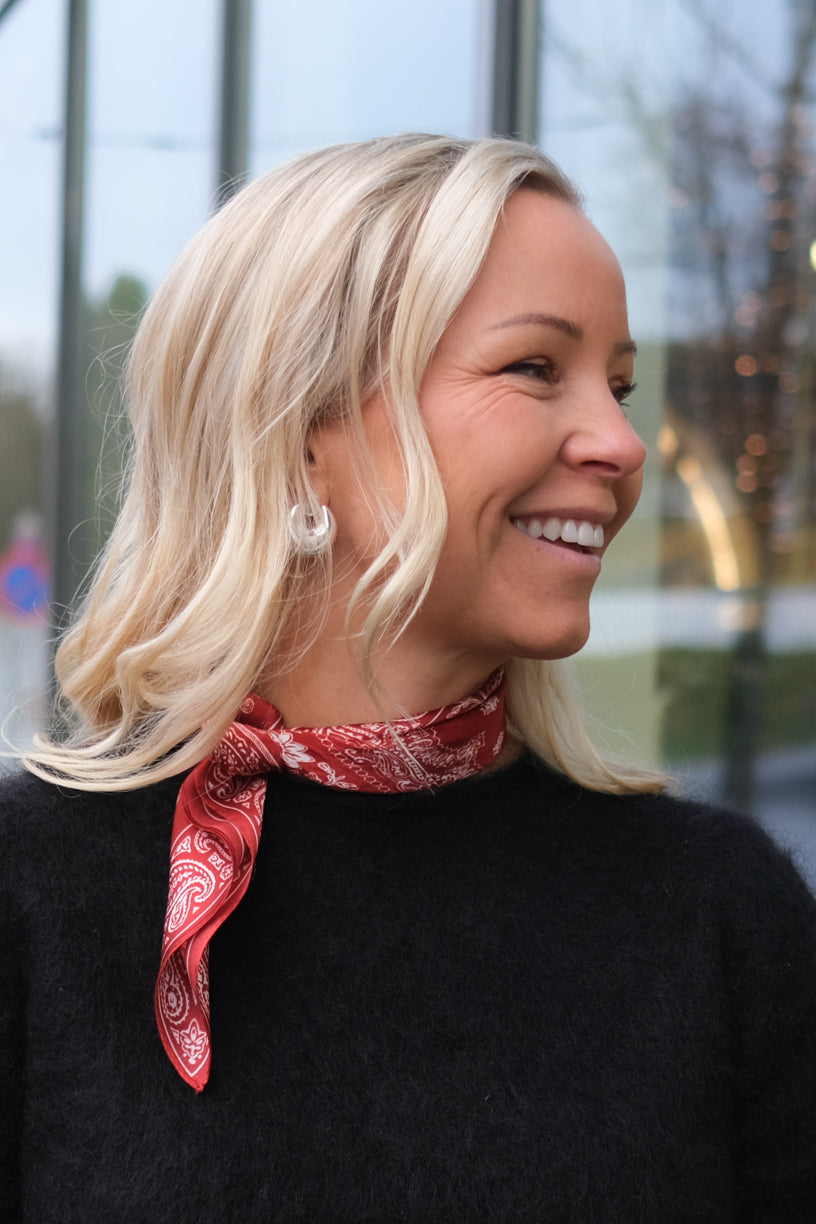 Aliette Earrings Silver Plated