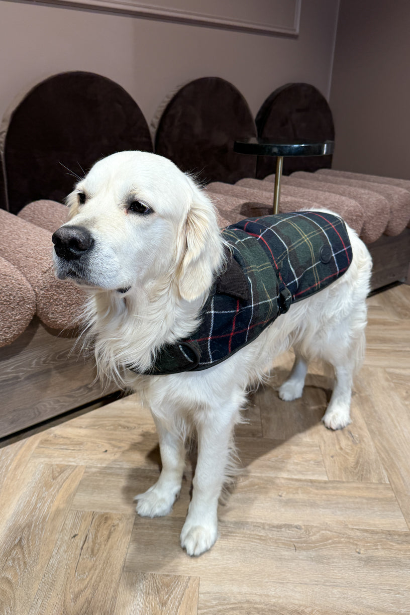 Wool Dog Coat Classic Tartan