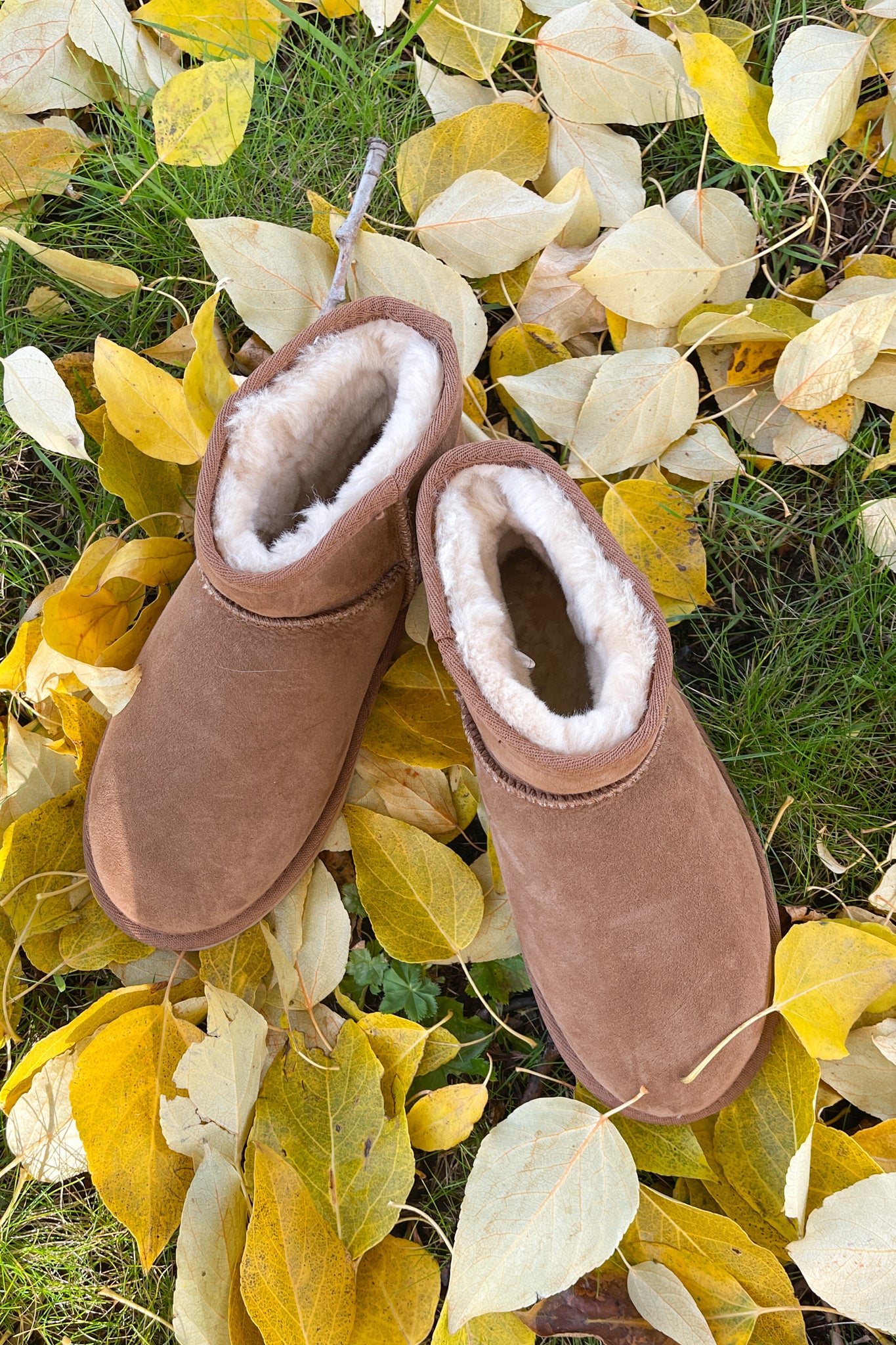 Stinger Micro Boots Chestnut