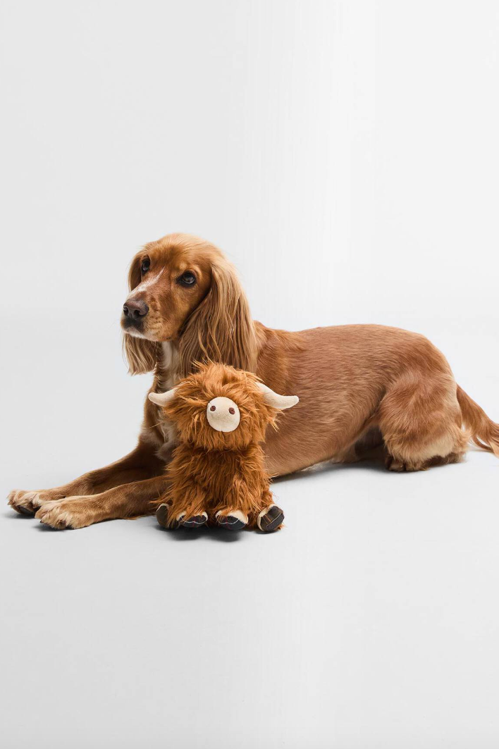 Highland Cow Dog Toy