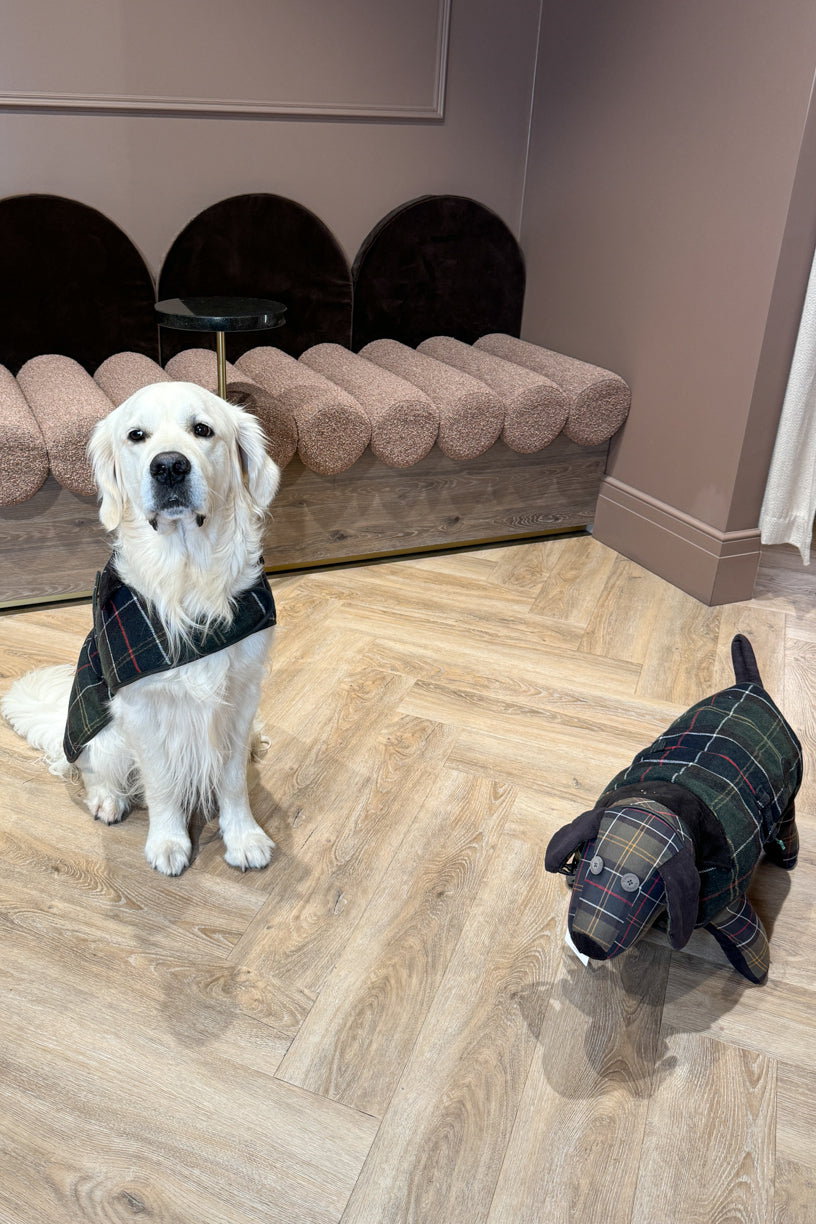 Wool Dog Coat Classic Tartan