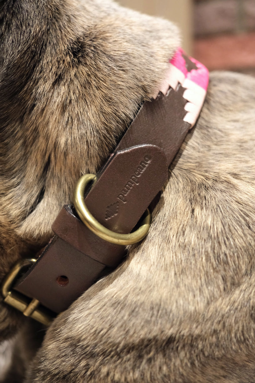 Dog Collar Petalo