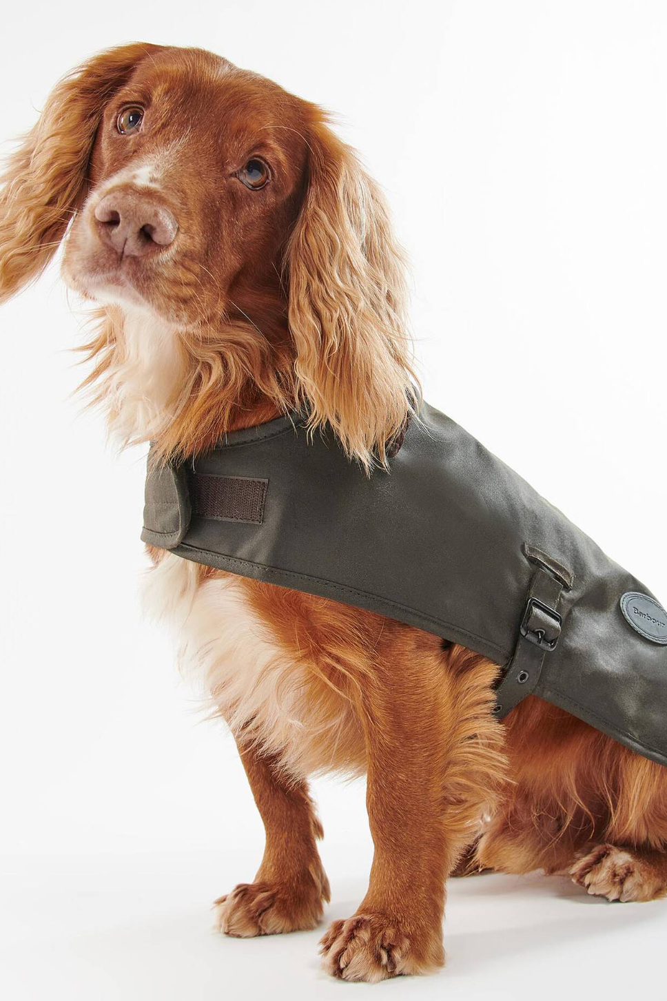 Wax Dog Coat Olive