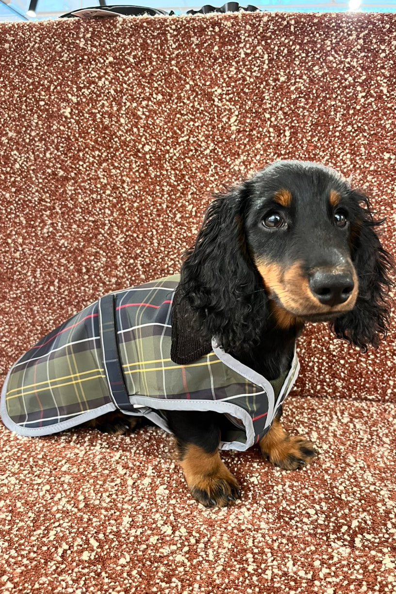 Tartan Waterproof Dog Coat Classic Tartan
