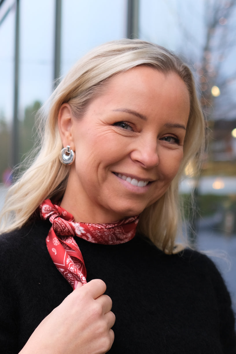 Aliette Earrings Silver Plated