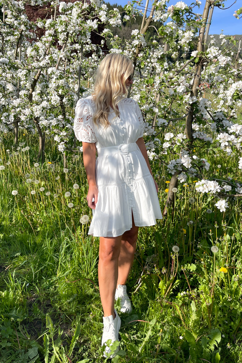 Catleya Dress Blanc Casse