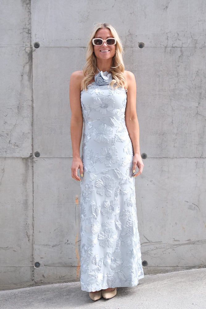 Rose Dress Light Sky