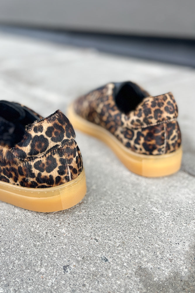 CPH433 Hairy leather Leo