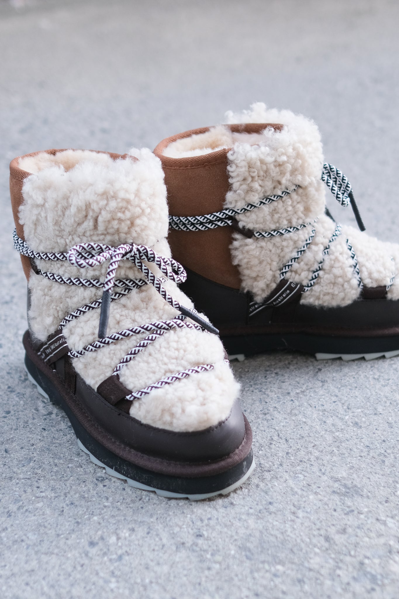 Blurred Teddy Chestnut