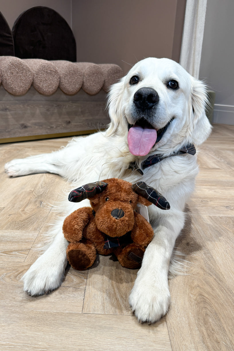 Reindeer Dog Toy
