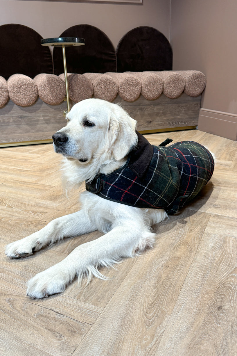 Wool Dog Coat Classic Tartan