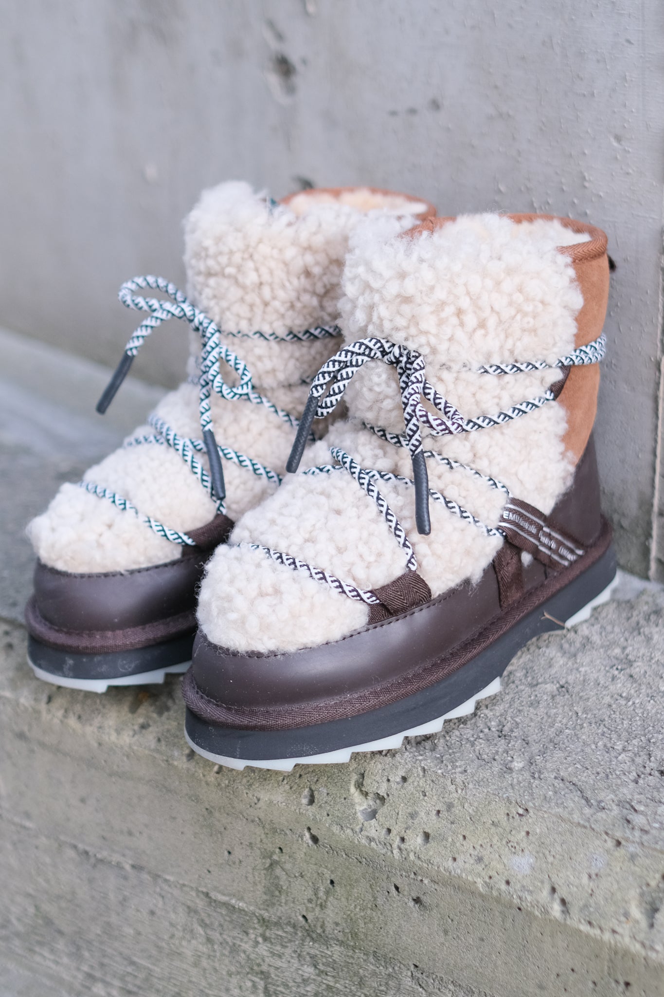 Blurred Teddy Chestnut