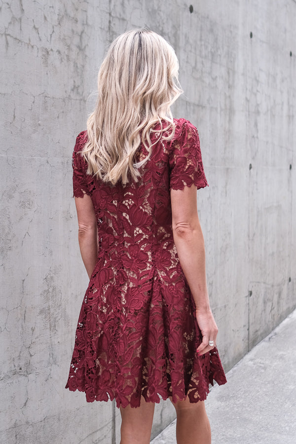Lace Mini Dress Burgundy