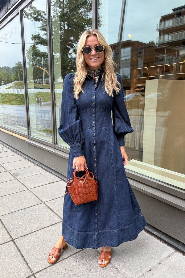 Denim Button-Down Dress Denim Blue