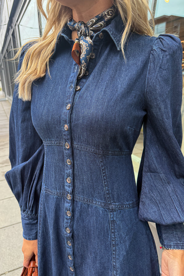 Denim Button-Down Dress Denim Blue