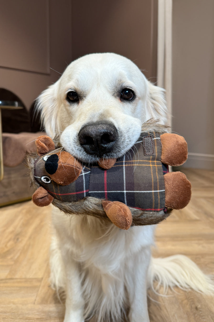 Hedgehog Dog Toy