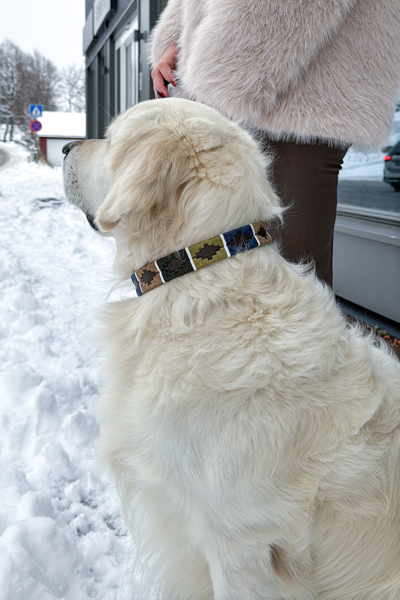 Caza Dog Collar