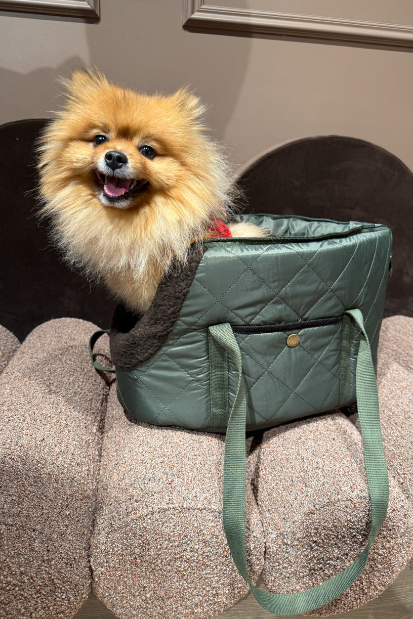 Small Dog Carrier Olive