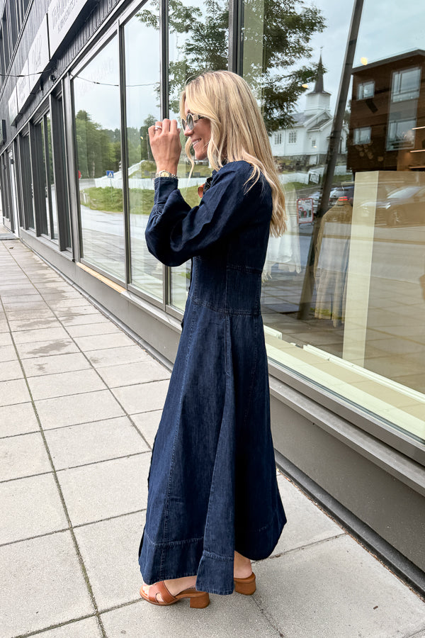 Denim Button-Down Dress Denim Blue