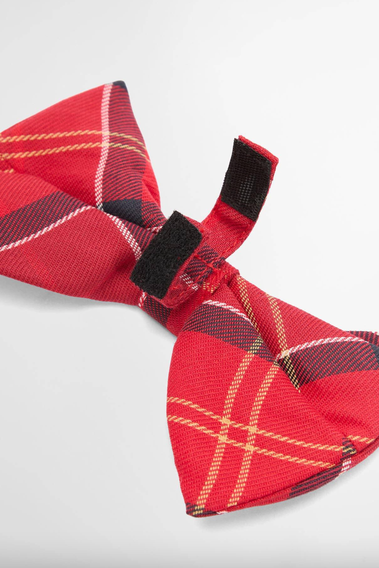 Dog Bow Tie Cardinal Tartan
