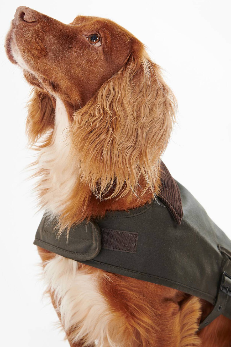 Wax Dog Coat Olive
