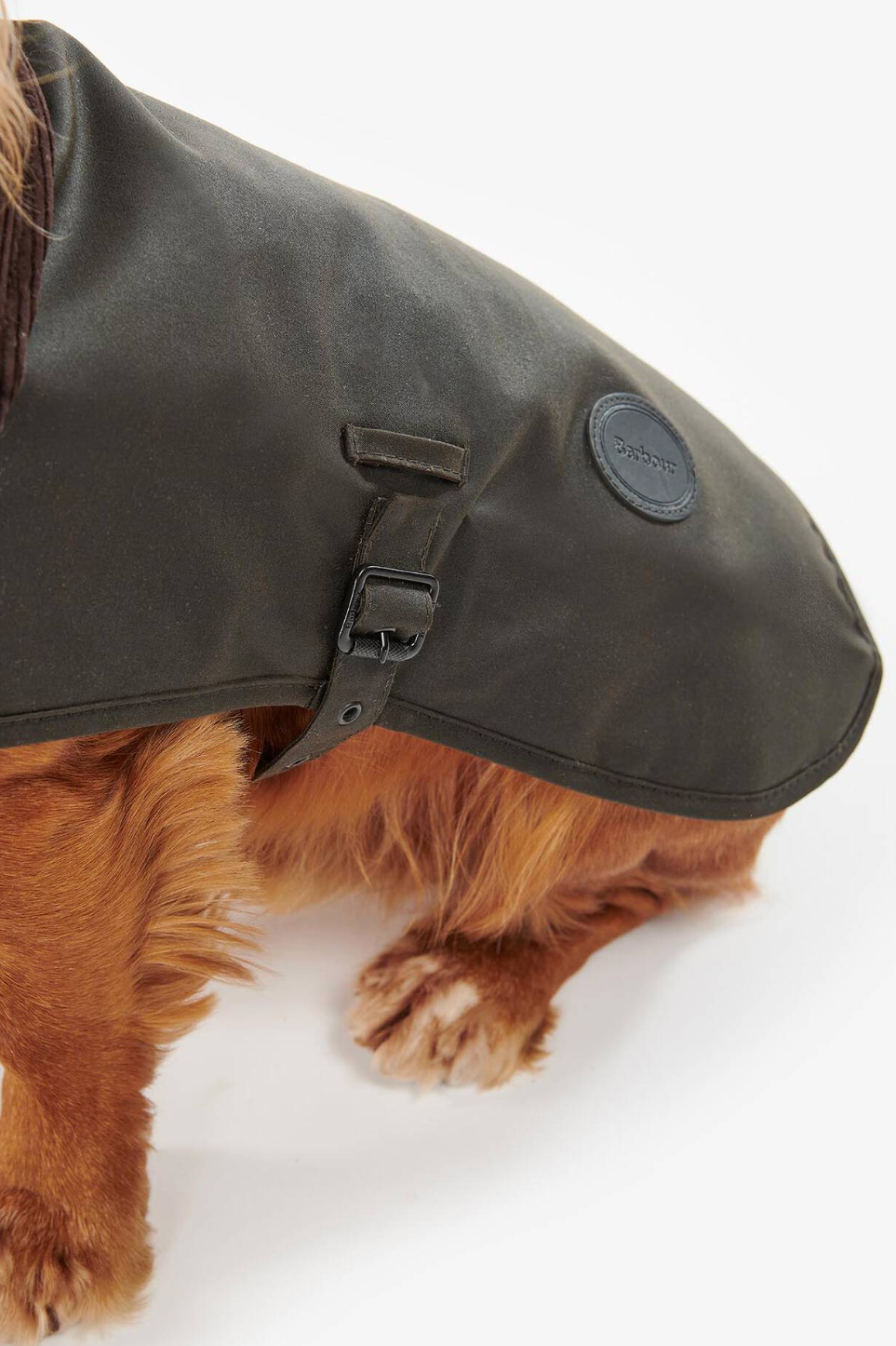 Wax Dog Coat Olive