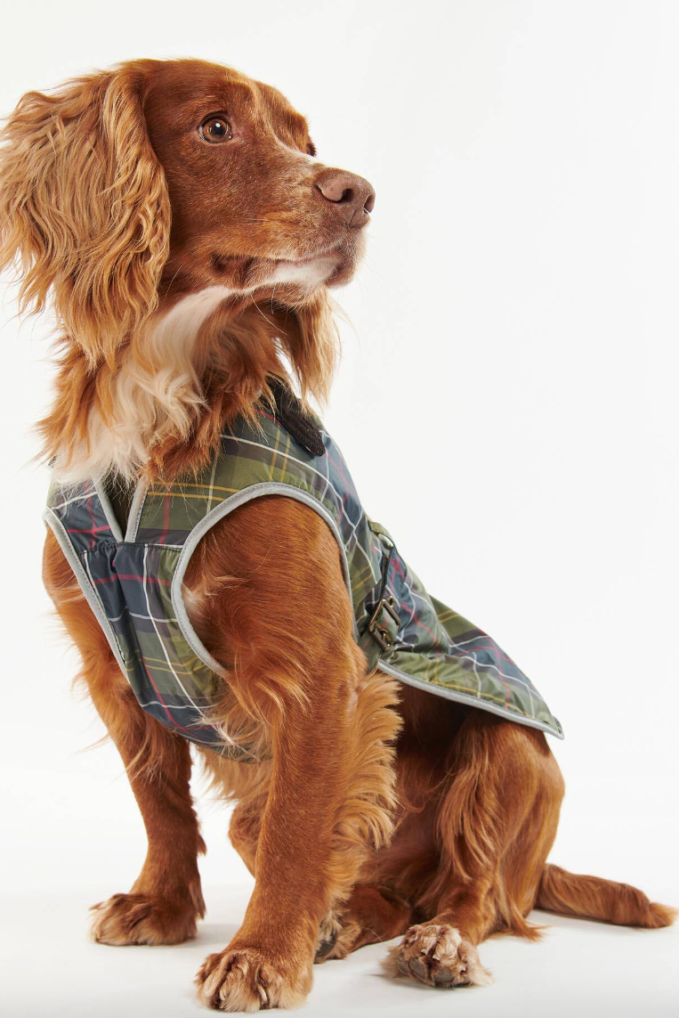 Tartan Waterproof Dog Coat Classic Tartan