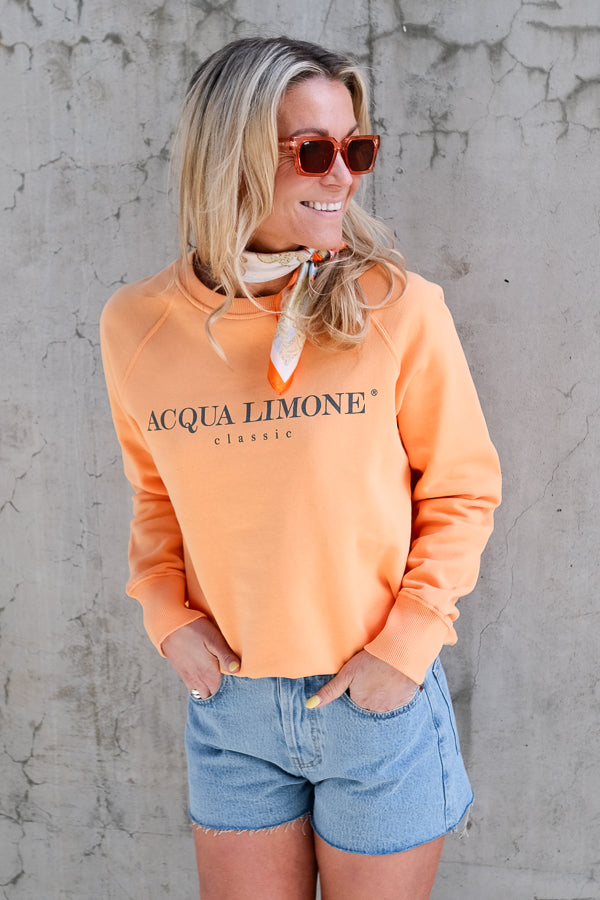 College Classic Sweater Orange