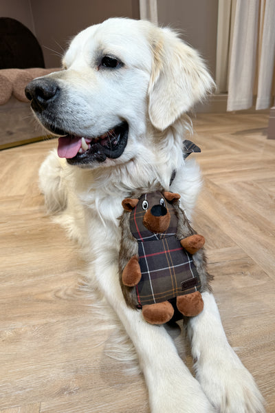 Hedgehog Dog Toy