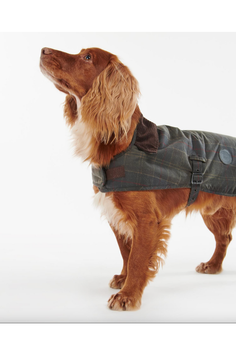 Tartan Wax Dog Coat