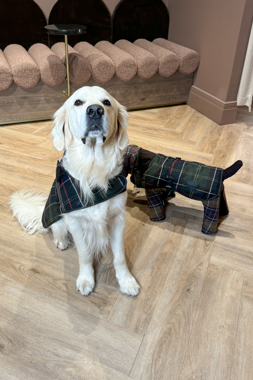 Wool Dog Coat  Classic Tartan