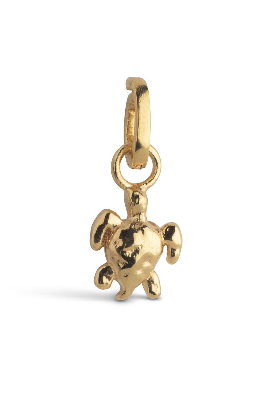 Calm Turtle Charm Gold