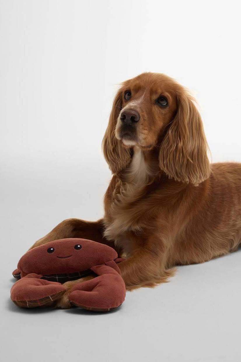 Crab Dog Toy