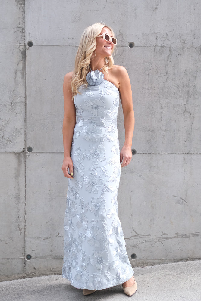Rose Dress Light Sky