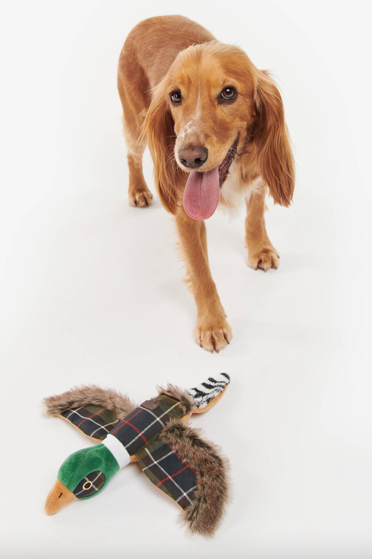 Pheasant Dog Toy