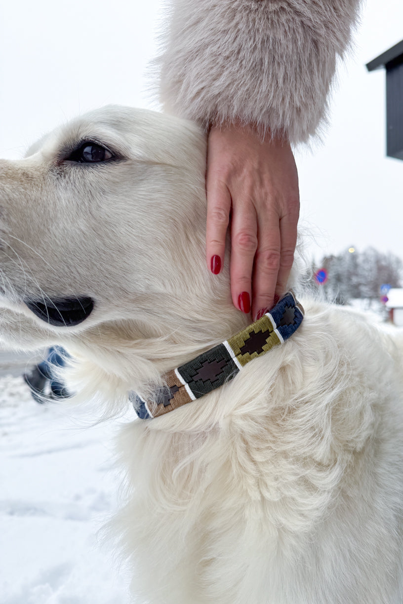 Caza Dog Collar