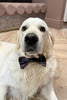 Tartan Dog Bow Tie