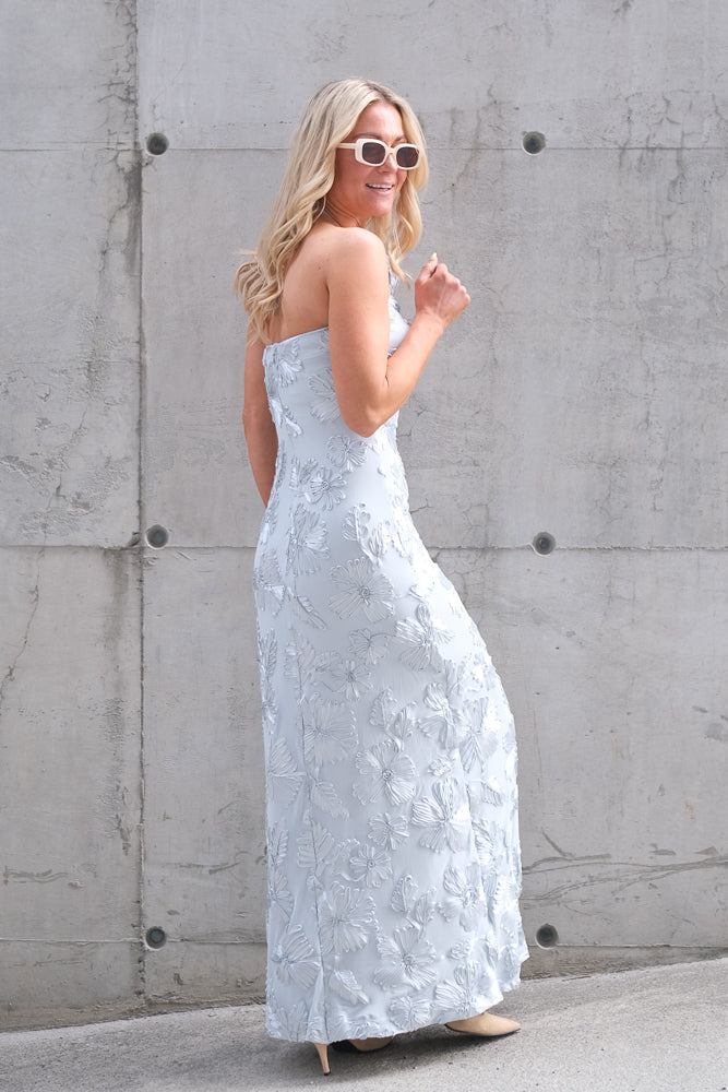 Rose Dress Light Sky
