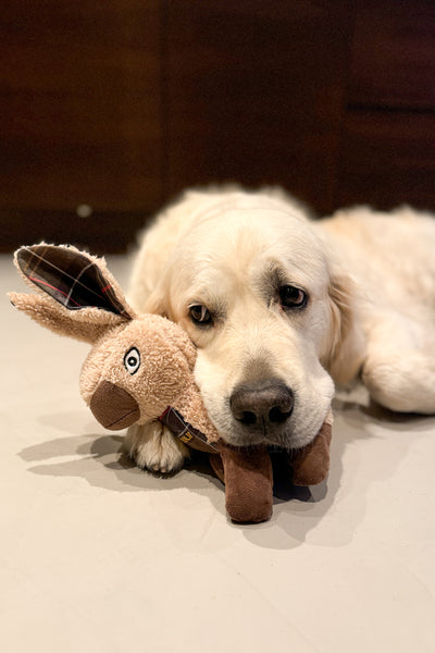 Rabbit Dog Toy