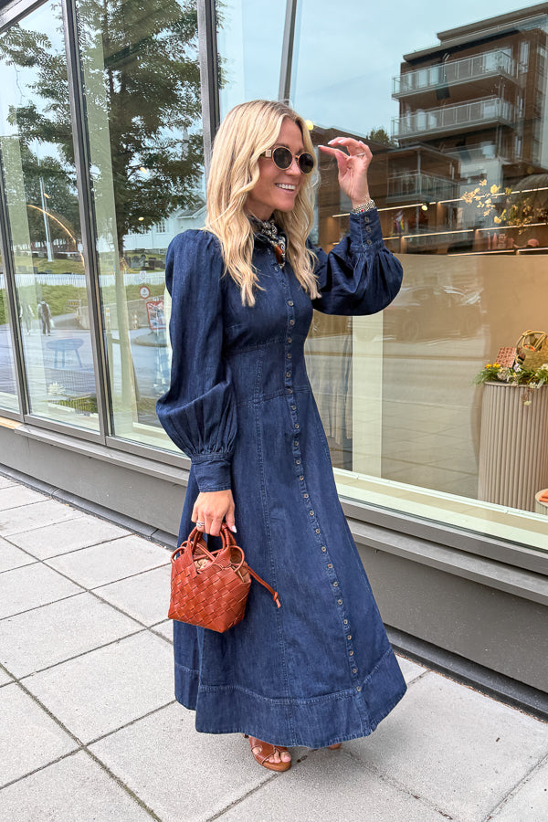 Denim Button-Down Dress Denim Blue