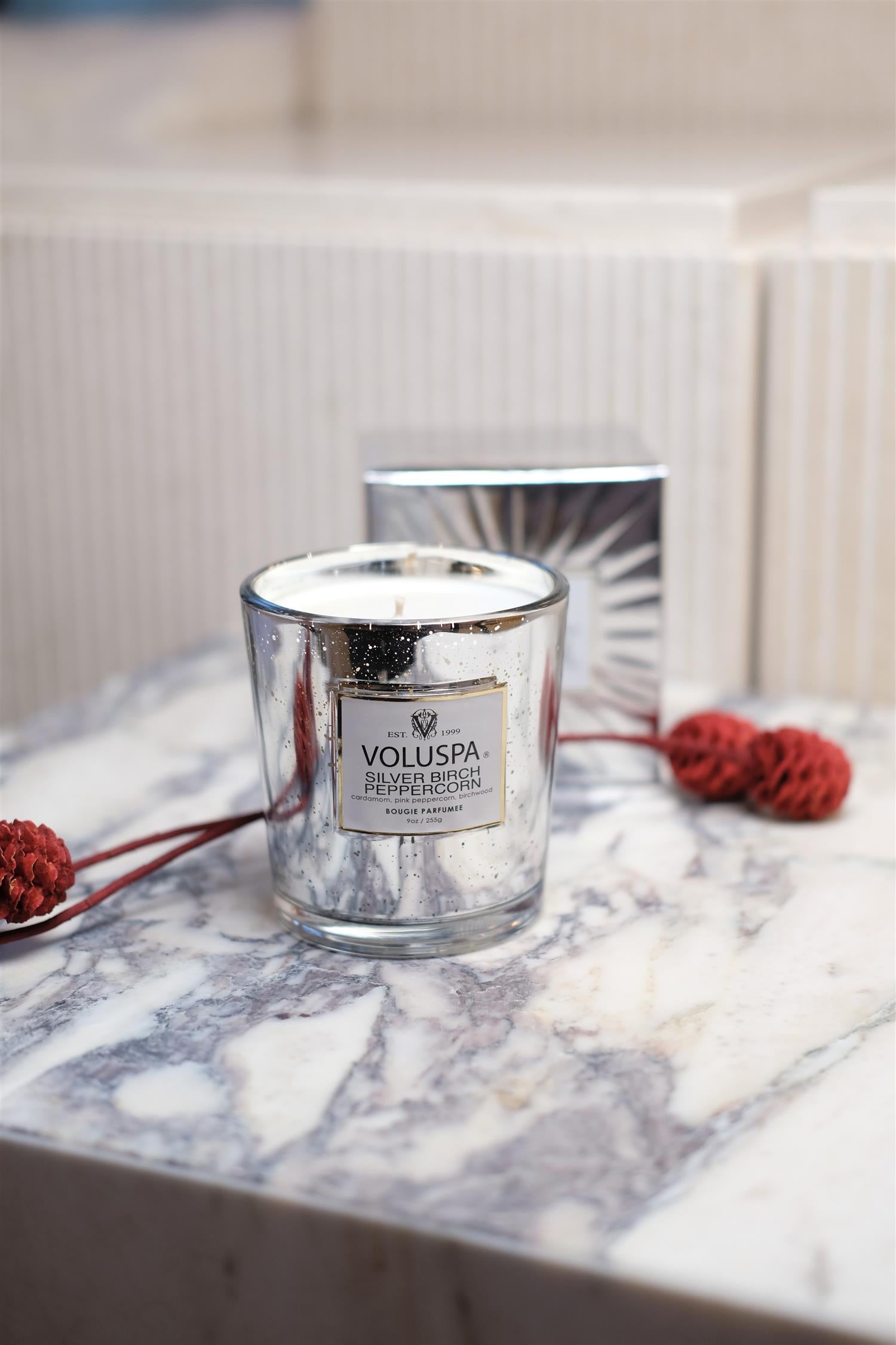 Silver Birch Peppercorn Glasskrukke